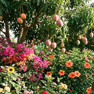Horticulture